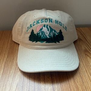Mighty Fine Tan Jackson Hole Hat